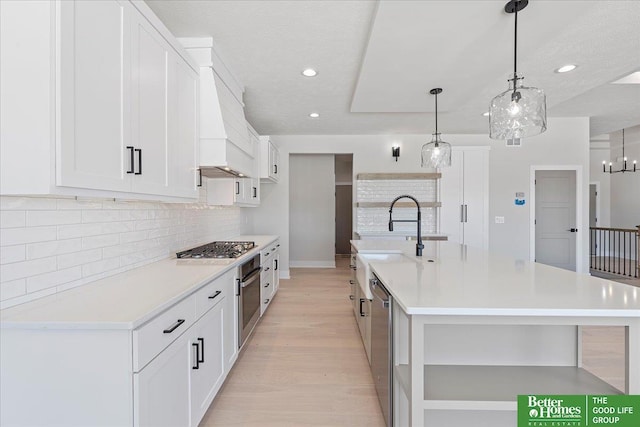 5729 N 196th St, Elkhorn, NE 68022 - kitchen with a sink, appliances with stainless steel finishes, custom range hood, tasteful backsplash, and light wood finished floors