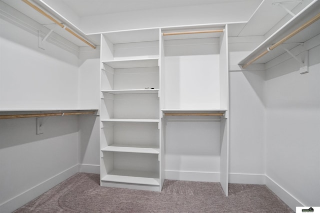 7949 Ponce Dr, Lincoln, NE 68516 - walk in closet featuring carpet flooring