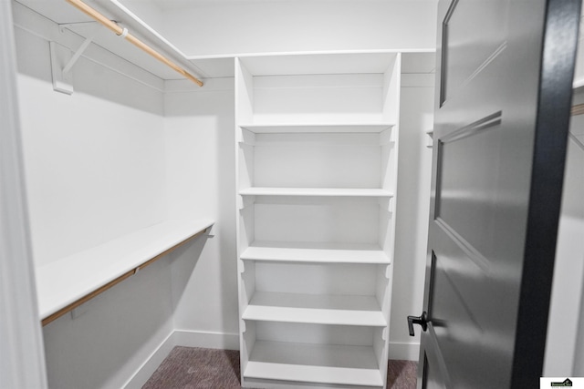 7949 Ponce Dr, Lincoln, NE 68516 - view of walk in closet