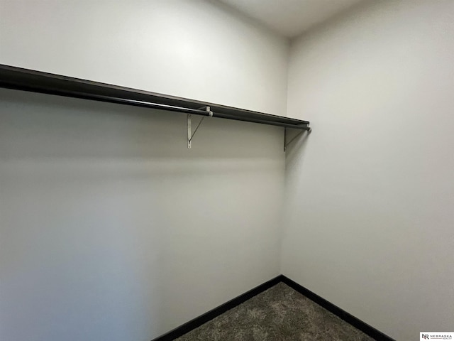 231 N Government St, Valentine, NE 69201 - spacious closet with dark colored carpet
