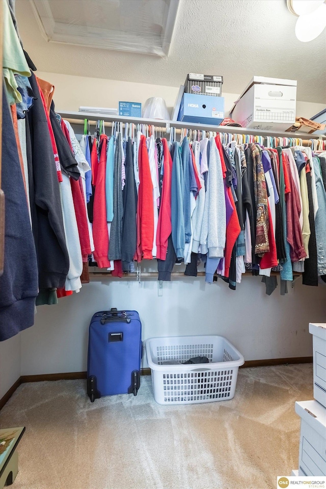 10919 N 69th St, Omaha, NE 68152 - walk in closet with carpet