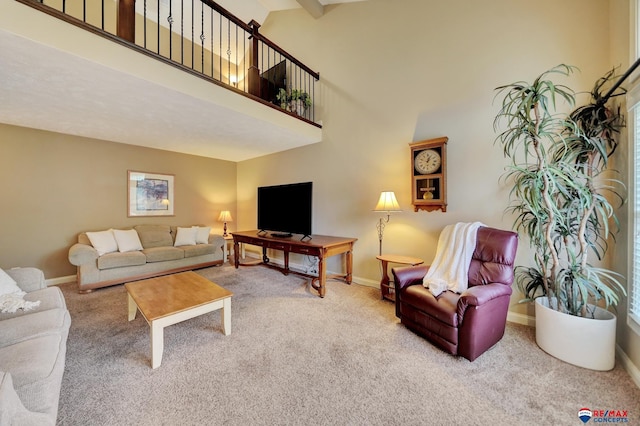 6609 Shenandoah Ct, Lincoln, NE 68510 - carpeted living room with baseboards and a high ceiling