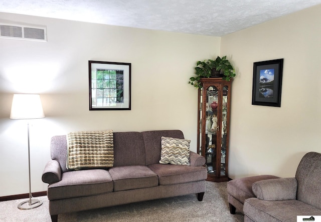 5201 Danbury Ct, Lincoln, NE 68512 - living area with carpet floors, a textured ceiling, and baseboards