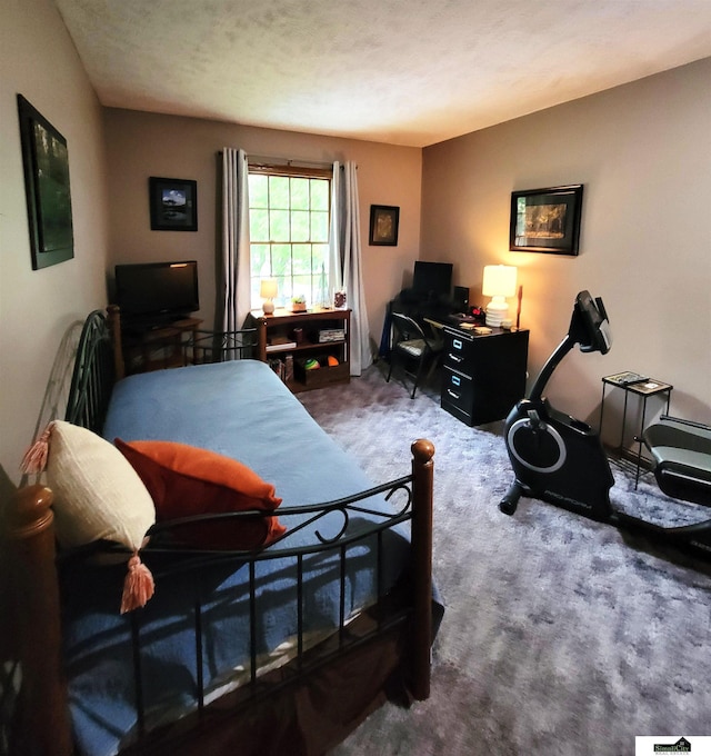 5201 Danbury Ct, Lincoln, NE 68512 - bedroom with carpet floors and a desk