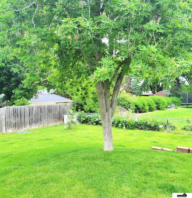 5201 Danbury Ct, Lincoln, NE 68512 - view of yard
