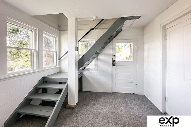 2626 N 67th St, Omaha, NE 68104 - stairway with carpet floors