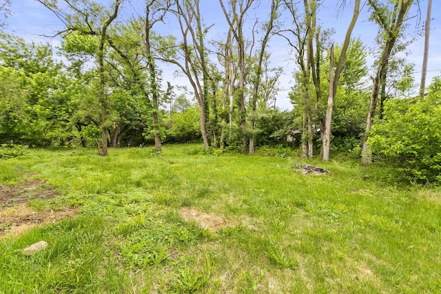 4656 Redick Ave, Omaha, NE 68152 - view of yard