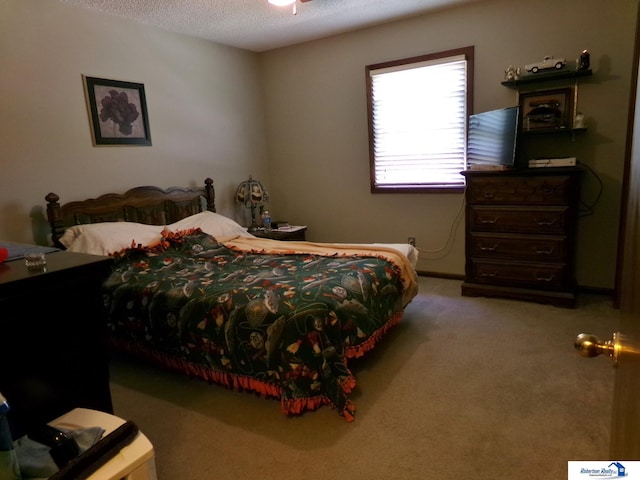 1304 S 4th Ave, Beatrice, NE 68310 - bedroom with carpet flooring and a textured ceiling
