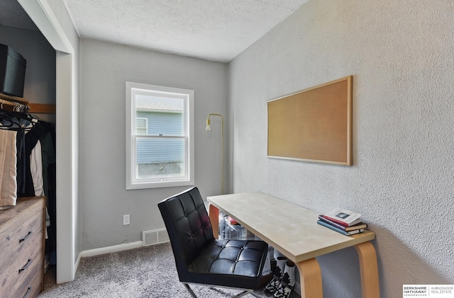 1409 S 17th St, Omaha, NE 68108 - carpeted home office with a textured wall, baseboards, and a textured ceiling