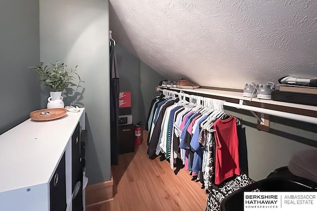 3120 N 205th St, Omaha, NE 68022 - spacious closet with light wood-type flooring and lofted ceiling