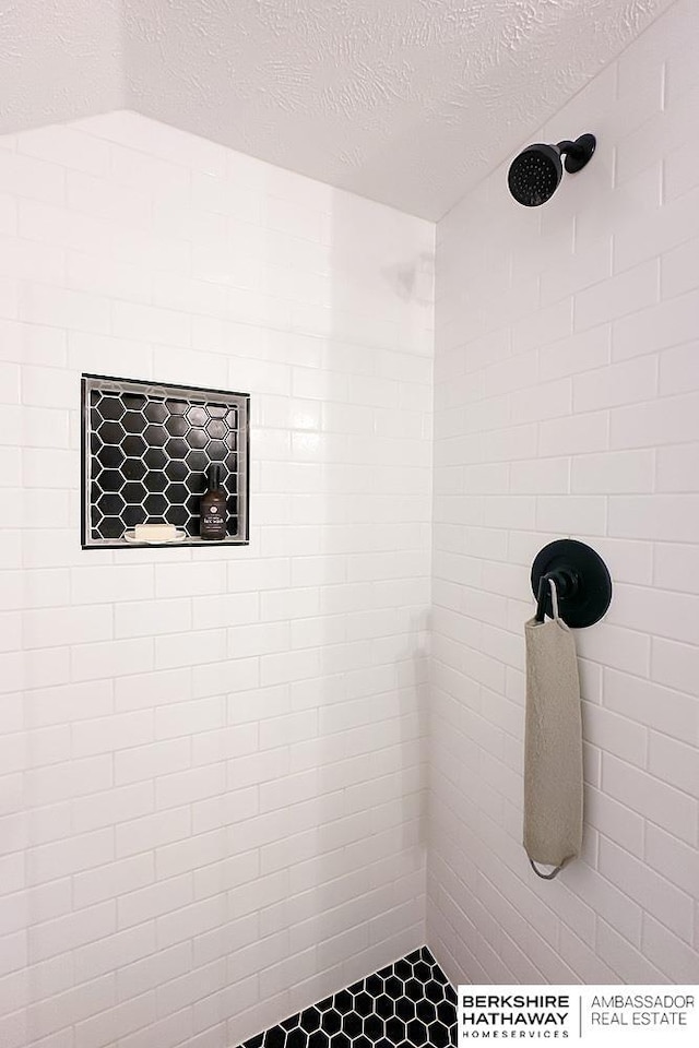 3120 N 205th St, Omaha, NE 68022 - full bathroom with tiled shower and a textured ceiling