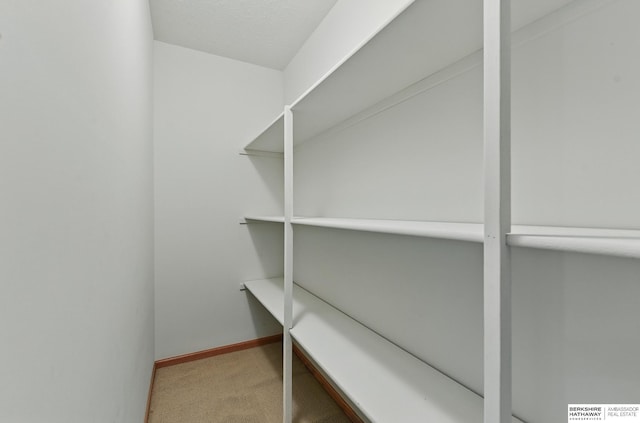211 Longwood Dr, Papillion, NE 68133 - view of storage area