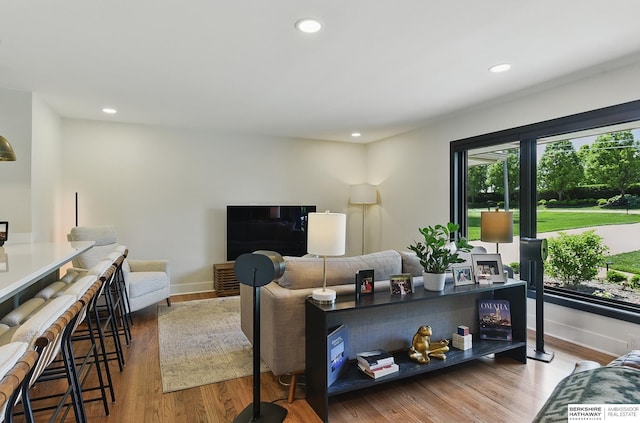 317 N 96th St, Omaha, NE 68114 - living area with recessed lighting, wood finished floors, and baseboards