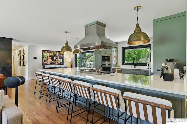 317 N 96th St, Omaha, NE 68114 - kitchen with island exhaust hood, appliances with stainless steel finishes, light wood-type flooring, light countertops, and plenty of natural light