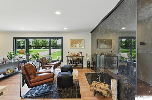 317 N 96th St, Omaha, NE 68114 - living area with wood finished floors, recessed lighting, and a dry bar