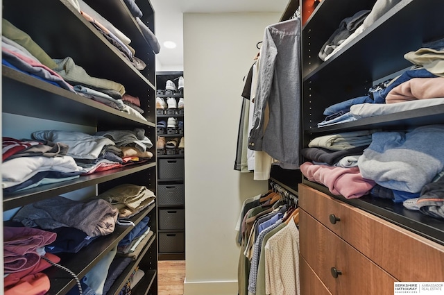 317 N 96th St, Omaha, NE 68114 - spacious closet featuring light wood-style floors