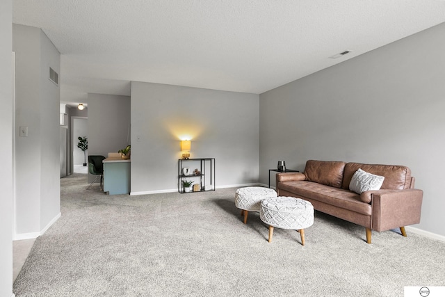 3400 Glenhaven Pl, Lincoln, NE 68506 - living room with carpet, baseboards, and a textured ceiling
