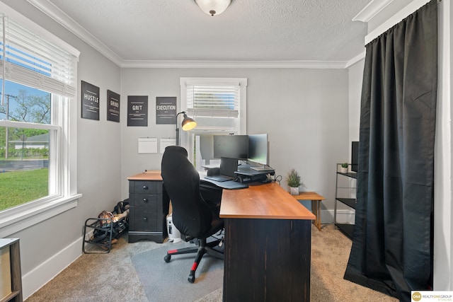 6458 Decatur St, Omaha, NE 68104 - carpeted office space with ornamental molding, baseboards, and a textured ceiling