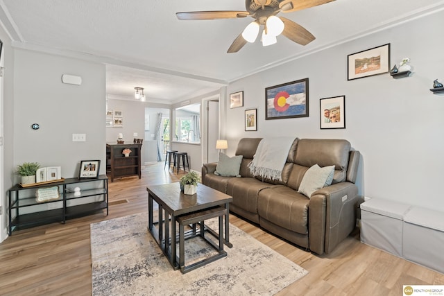 6458 Decatur St, Omaha, NE 68104 - living room with ornamental molding, light wood-style floors, and a ceiling fan