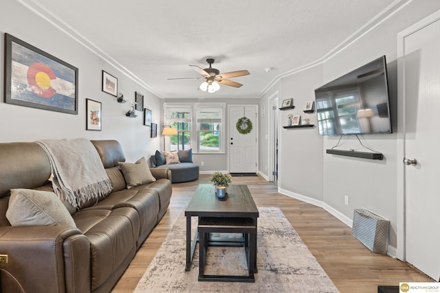 6458 Decatur St, Omaha, NE 68104 - living area featuring ornamental molding, ceiling fan, light wood-style flooring, and baseboards