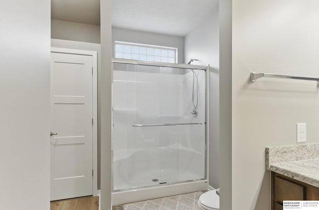 11745 S 113th St, Papillion, NE 68046 - full bathroom featuring a shower stall, toilet, vanity, and wood finished floors