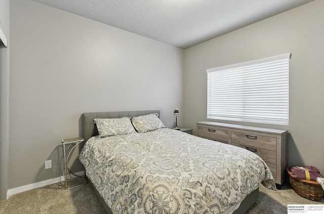 11745 S 113th St, Papillion, NE 68046 - carpeted bedroom with baseboards