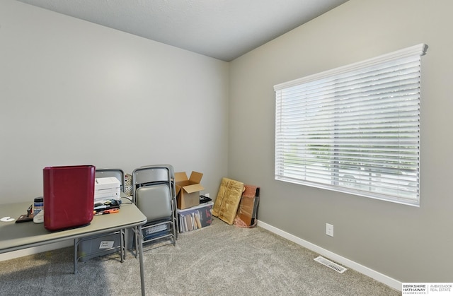 11745 S 113th St, Papillion, NE 68046 - office space featuring carpet and baseboards