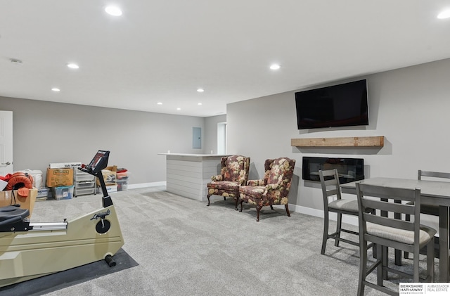 11745 S 113th St, Papillion, NE 68046 - exercise room with a glass covered fireplace, recessed lighting, carpet floors, electric panel, and baseboards