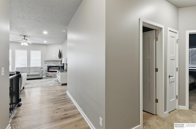 11745 S 113th St, Papillion, NE 68046 - hall with baseboards, light wood-style floors, and recessed lighting