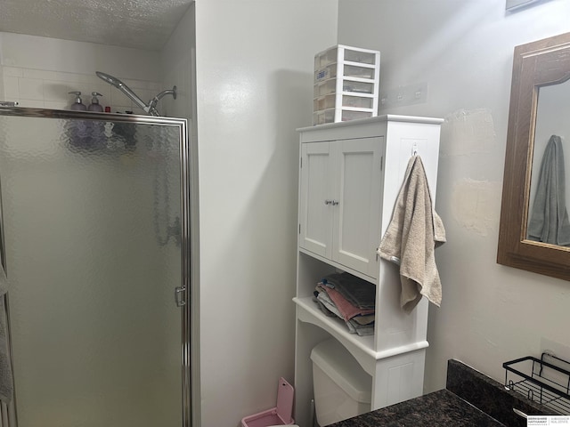 1745 Independence Cir, Lincoln, NE 68521 - full bath featuring a shower stall, toilet, vanity, and a textured ceiling
