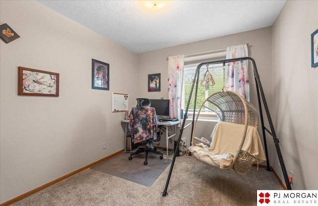 6718 Aspen St, La Vista, NE 68128 - office area with carpet, baseboards, and a textured ceiling