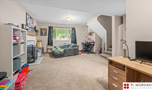 6718 Aspen St, La Vista, NE 68128 - rec room with carpet floors and a textured ceiling