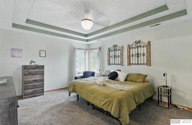 4414 S 174th St, Omaha, NE 68135 - carpeted bedroom featuring a raised ceiling and baseboards