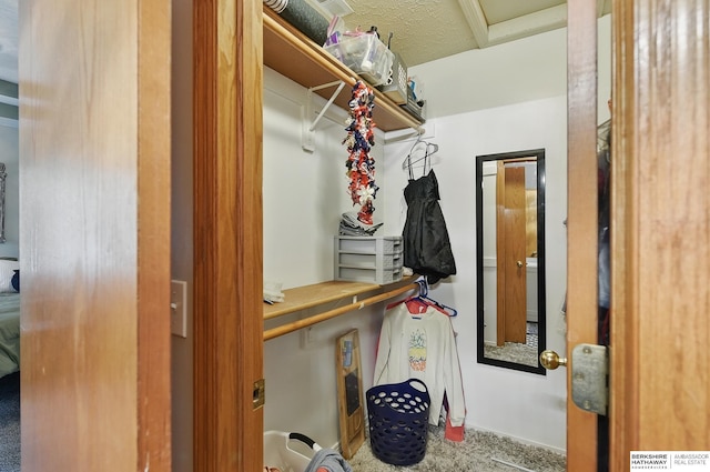 4414 S 174th St, Omaha, NE 68135 - walk in closet with carpet