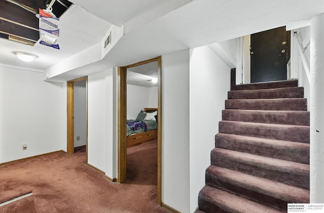 6920 N 30th St, Omaha, NE 68112 - stairs with carpet flooring and baseboards