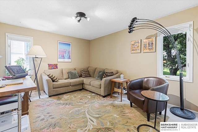15341 Davenport Cir, Omaha, NE 68154 - view of living area