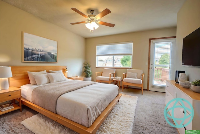 6200 Maple View Dr, Lincoln, NE 68512 - bedroom with access to outside, multiple windows, light carpet, and ceiling fan