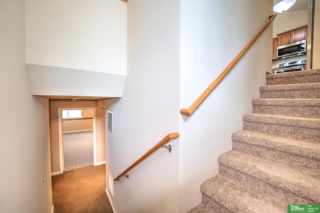 6200 Maple View Dr, Lincoln, NE 68512 - staircase featuring carpet floors