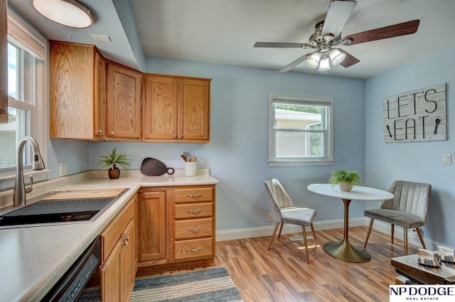 4705 N 95th St, Omaha, NE 68134 - kitchen with a sink, dishwasher, light countertops, light wood-type flooring, and ceiling fan