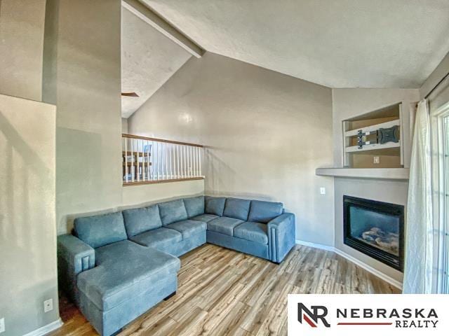 14603 Nebraska Cir, Omaha, NE 68116 - living room featuring wood finished floors, a glass covered fireplace, and baseboards