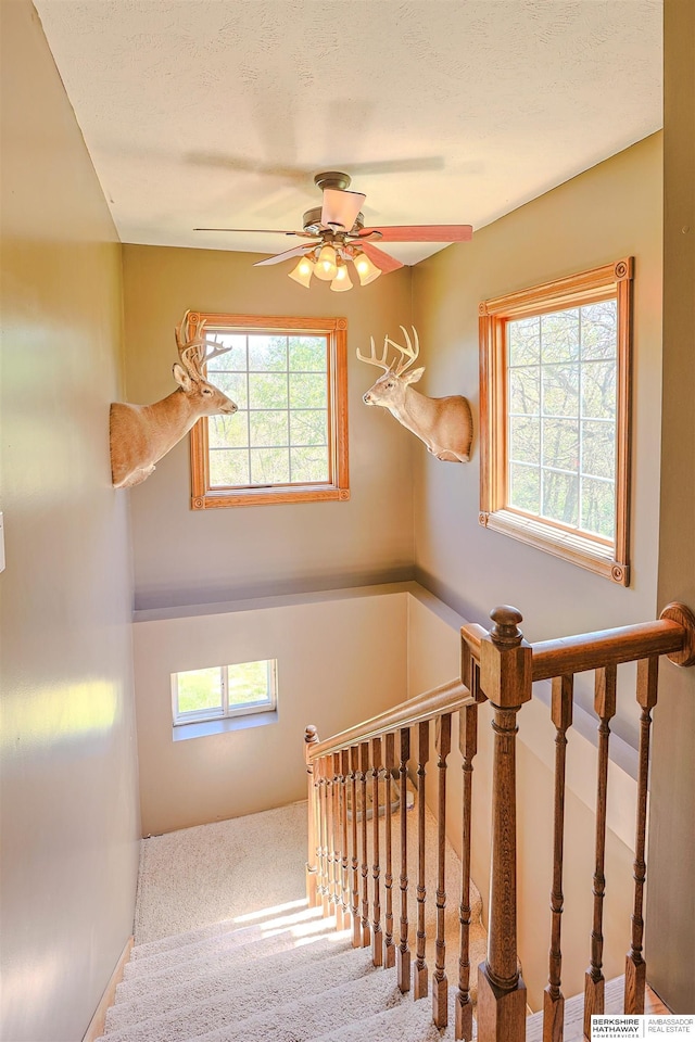 5531 County Road 34, Fort Calhoun, NE 68023 - stairs with healthy amount of natural light, carpet flooring, and a ceiling fan