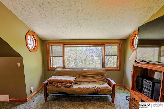 5531 County Road 34, Fort Calhoun, NE 68023 - sitting room featuring carpet, a textured ceiling, baseboards, and healthy amount of natural light