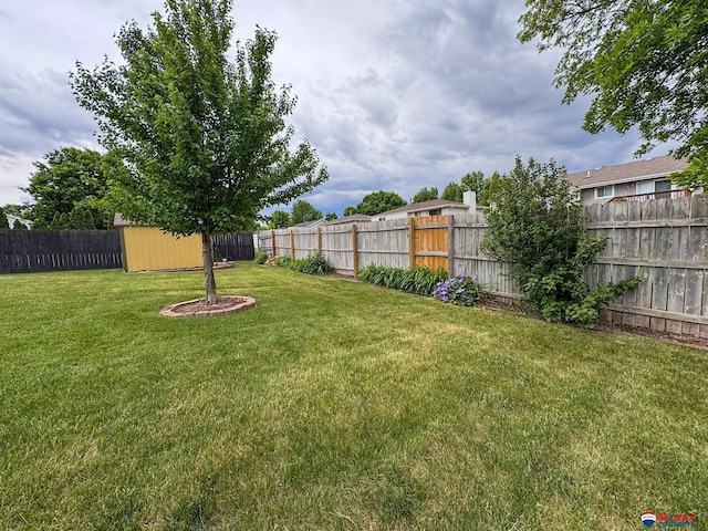 1507 SW 13th St, Lincoln, NE 68522 - view of yard