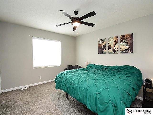 4062 W Gary Gately St, Lincoln, NE 68528 - bedroom featuring baseboards, carpet flooring, and a ceiling fan