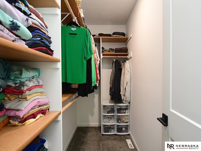 4062 W Gary Gately St, Lincoln, NE 68528 - spacious closet featuring dark carpet