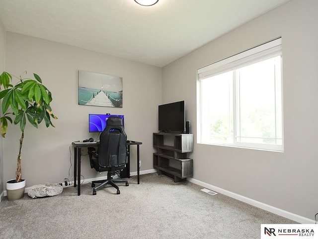 4062 W Gary Gately St, Lincoln, NE 68528 - office featuring carpet floors and baseboards