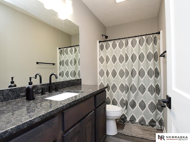 4062 W Gary Gately St, Lincoln, NE 68528 - bathroom with wood finished floors, vanity, toilet, and a shower with shower curtain