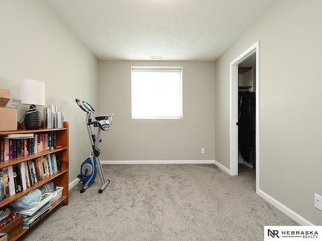 4062 W Gary Gately St, Lincoln, NE 68528 - workout area with carpet flooring and baseboards
