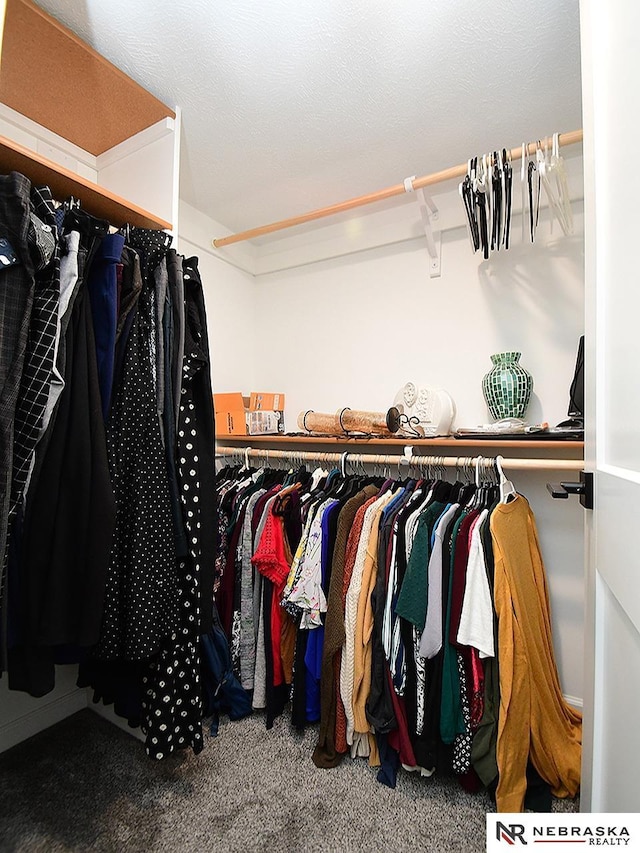4062 W Gary Gately St, Lincoln, NE 68528 - spacious closet with carpet flooring
