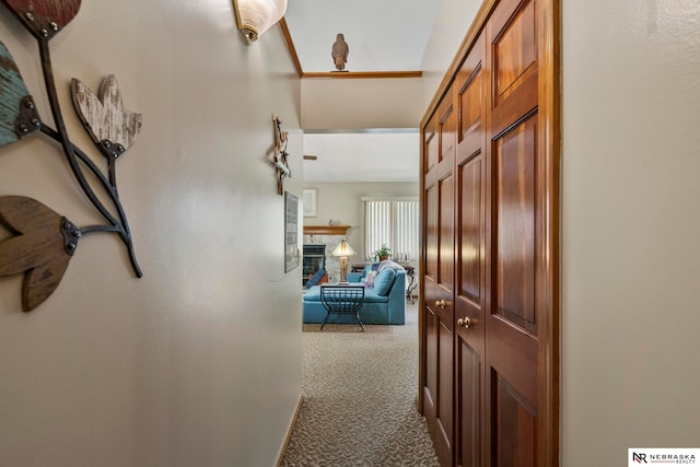 5082 S 149th Ct, Omaha, NE 68137 - hall featuring carpet flooring